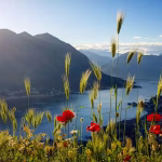 Adam accommodation in Kotor – photo 6