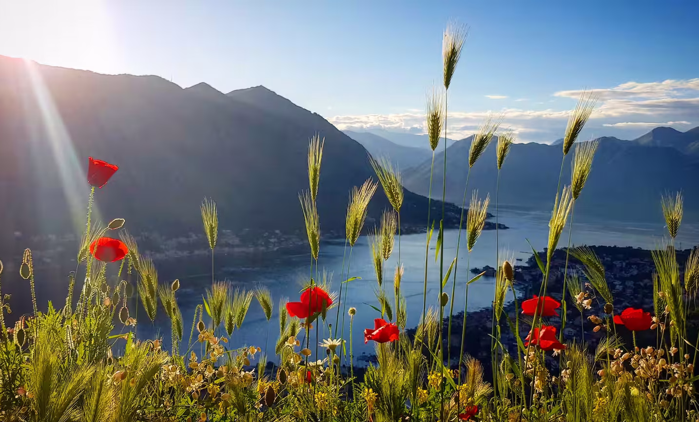 Pondok accommodation in Kotor – photo 6