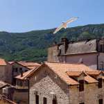 Kecak accommodation in Kotor Old Town – photo 7