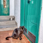 Kecil Lain accommodation in Kotor Old Town – photo 107