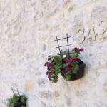 Shamash accommodation in Kotor Old Town – photo 143