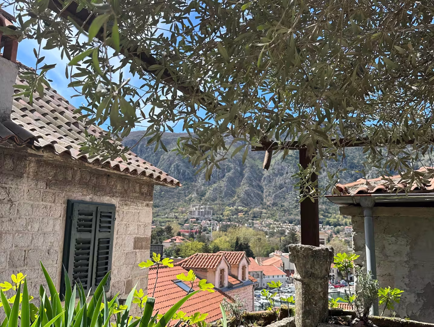 Arch accommodation in Kotor Old Town – photo 29