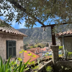 Arch accommodation in Kotor Old Town – photo 30