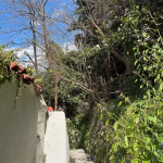 Arch accommodation in Kotor Old Town – photo 36