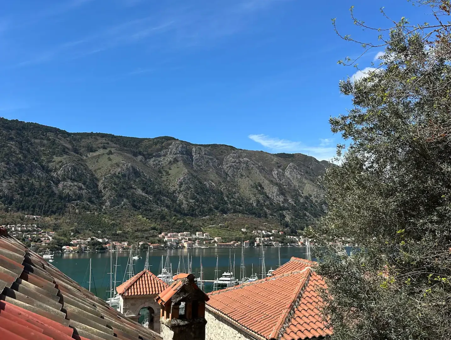 Arch accommodation in Kotor Old Town – photo 38