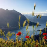 Candra accommodation in Kotor Old Town – photo 41