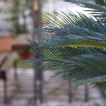 Adam accommodation in Kotor – photo 44