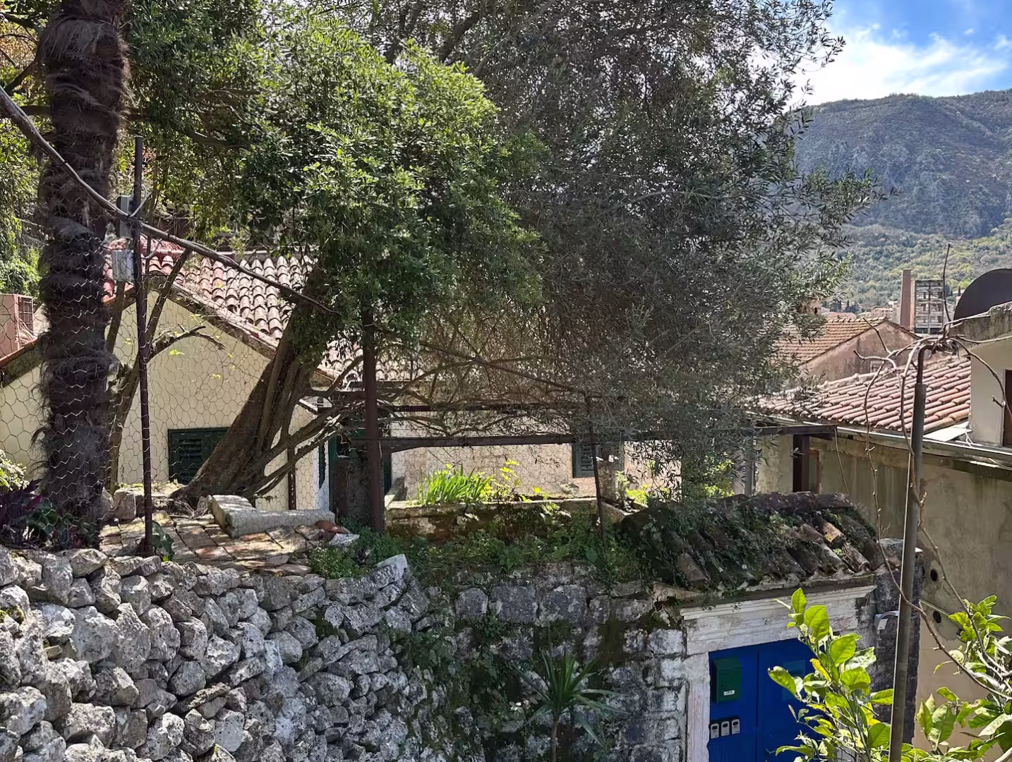 Arch accommodation in Kotor Old Town – photo 48