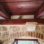 Mawar accommodation in Kotor Old Town – photo 56
