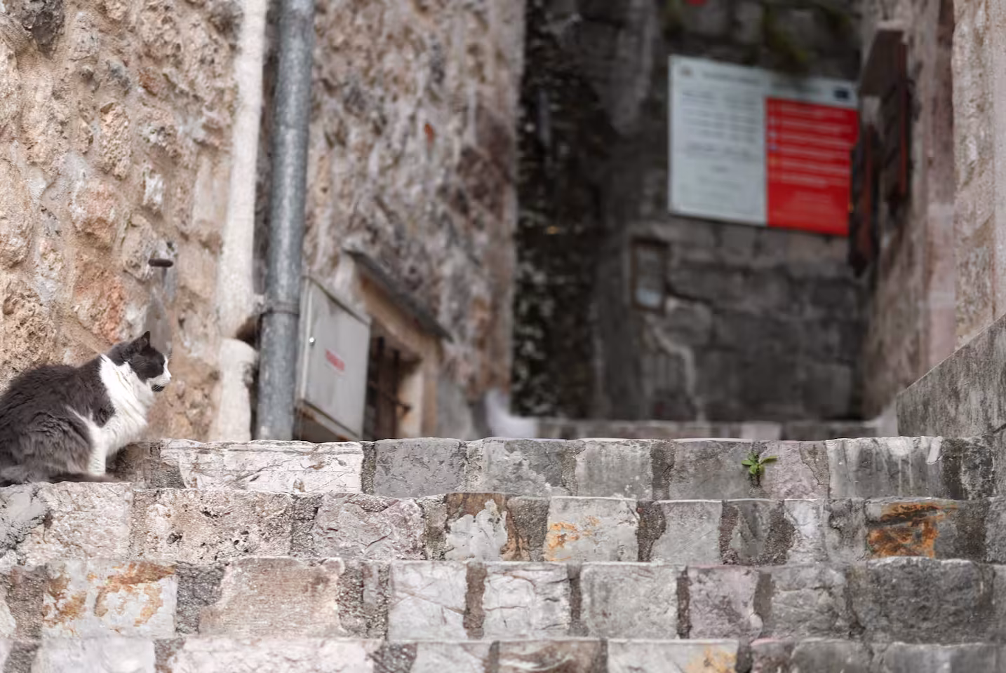 Artemis accommodation in Kotor Old Town – photo 59