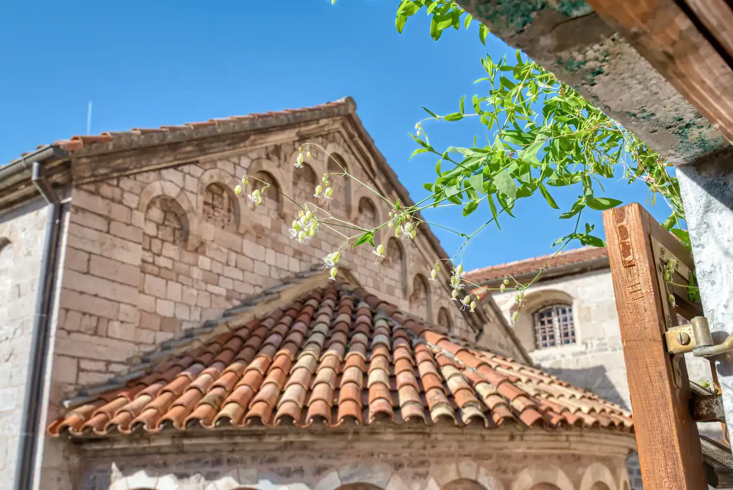 Yang accommodation in Kotor Old Town – photo 63