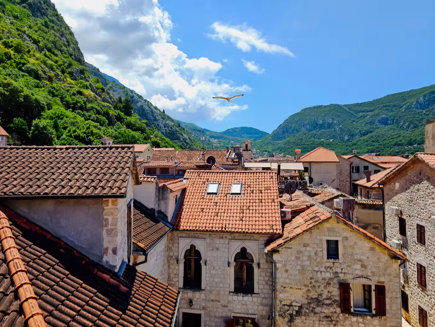 Kecak accommodation in Kotor Old Town – photo 65