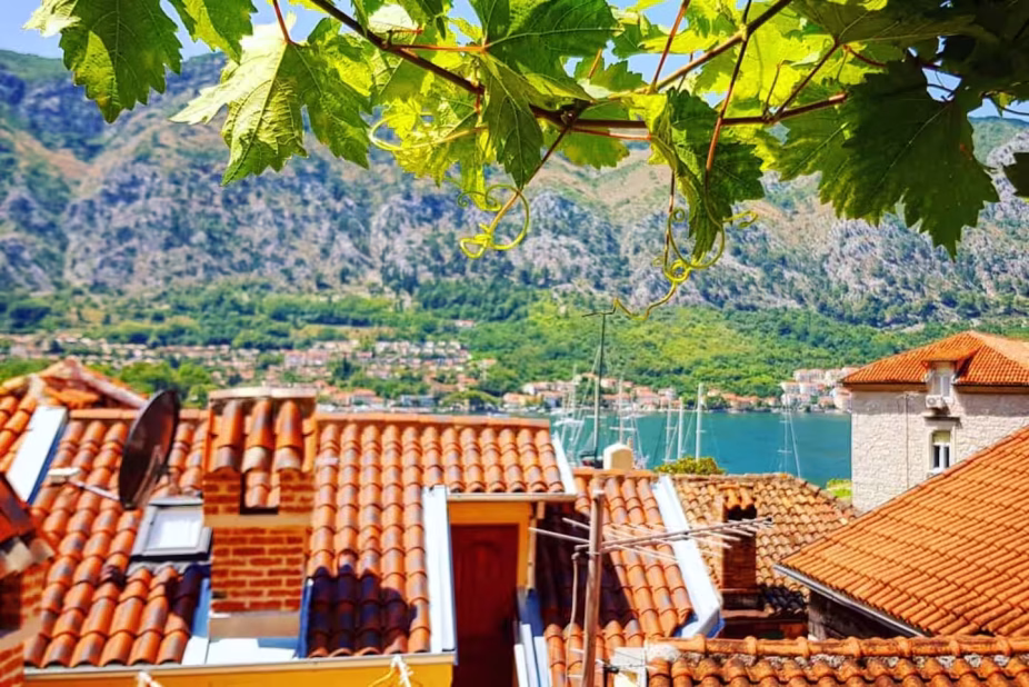 Raksasa accommodation in Kotor Old Town – photo 65
