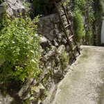 Haven accommodation in Kotor Old Town – photo 68
