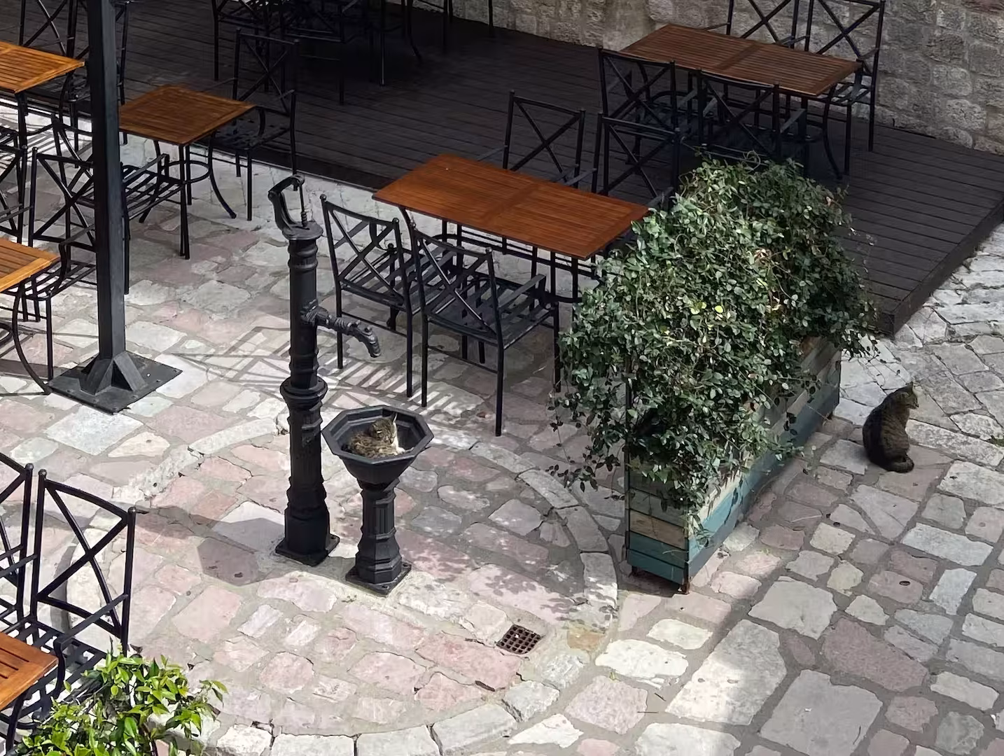 Milk Square accommodation in Kotor Old Town – photo 70