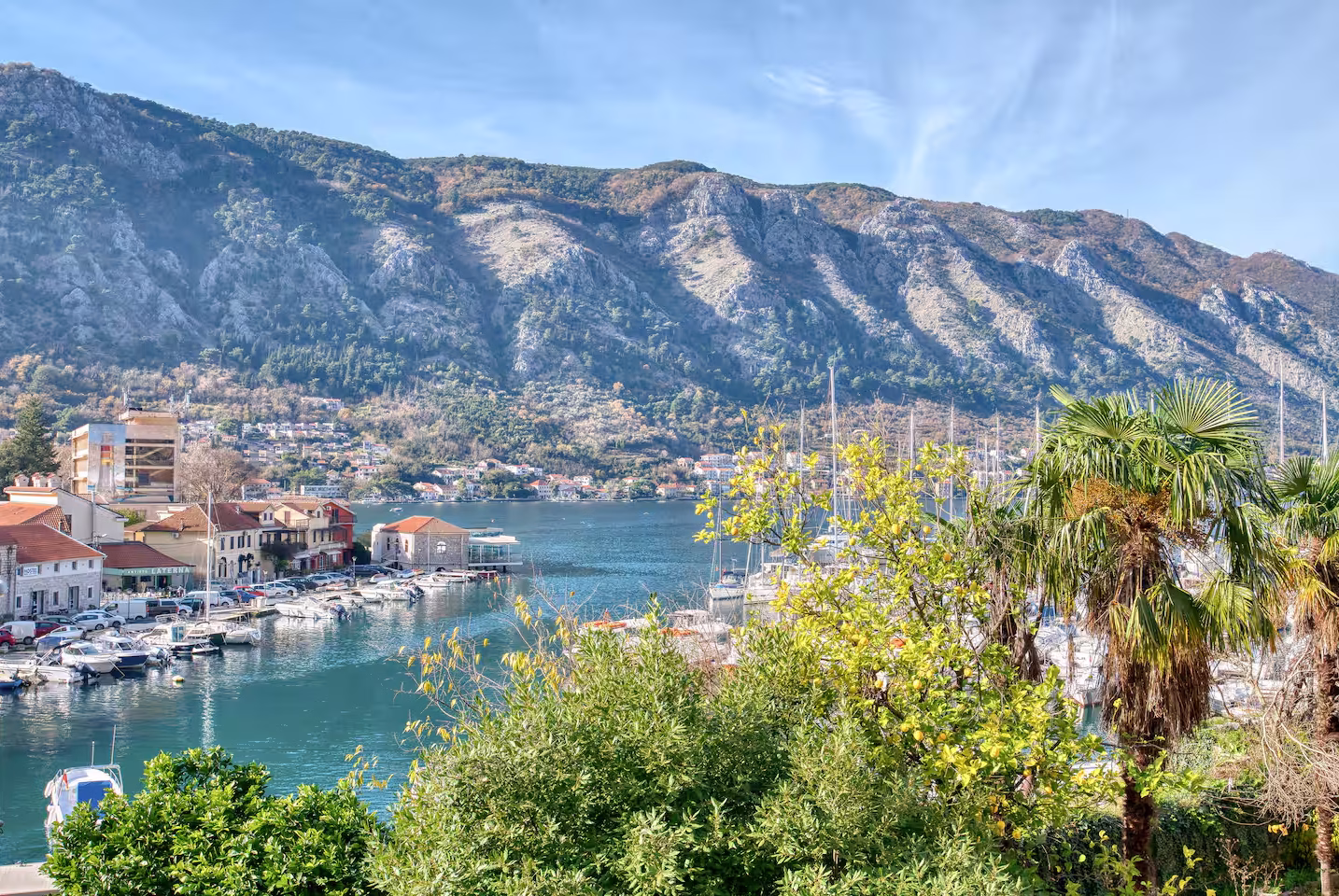 White Lily accommodation in Kotor Old Town – photo 70