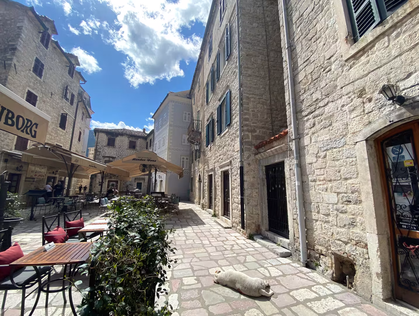 Milk Square accommodation in Kotor Old Town – photo 71
