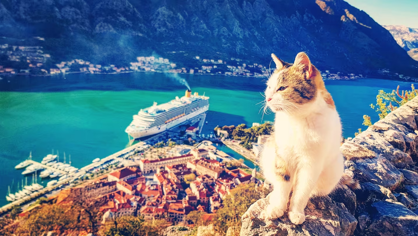 Angkasa accommodation in Kotor Old Town – photo 76