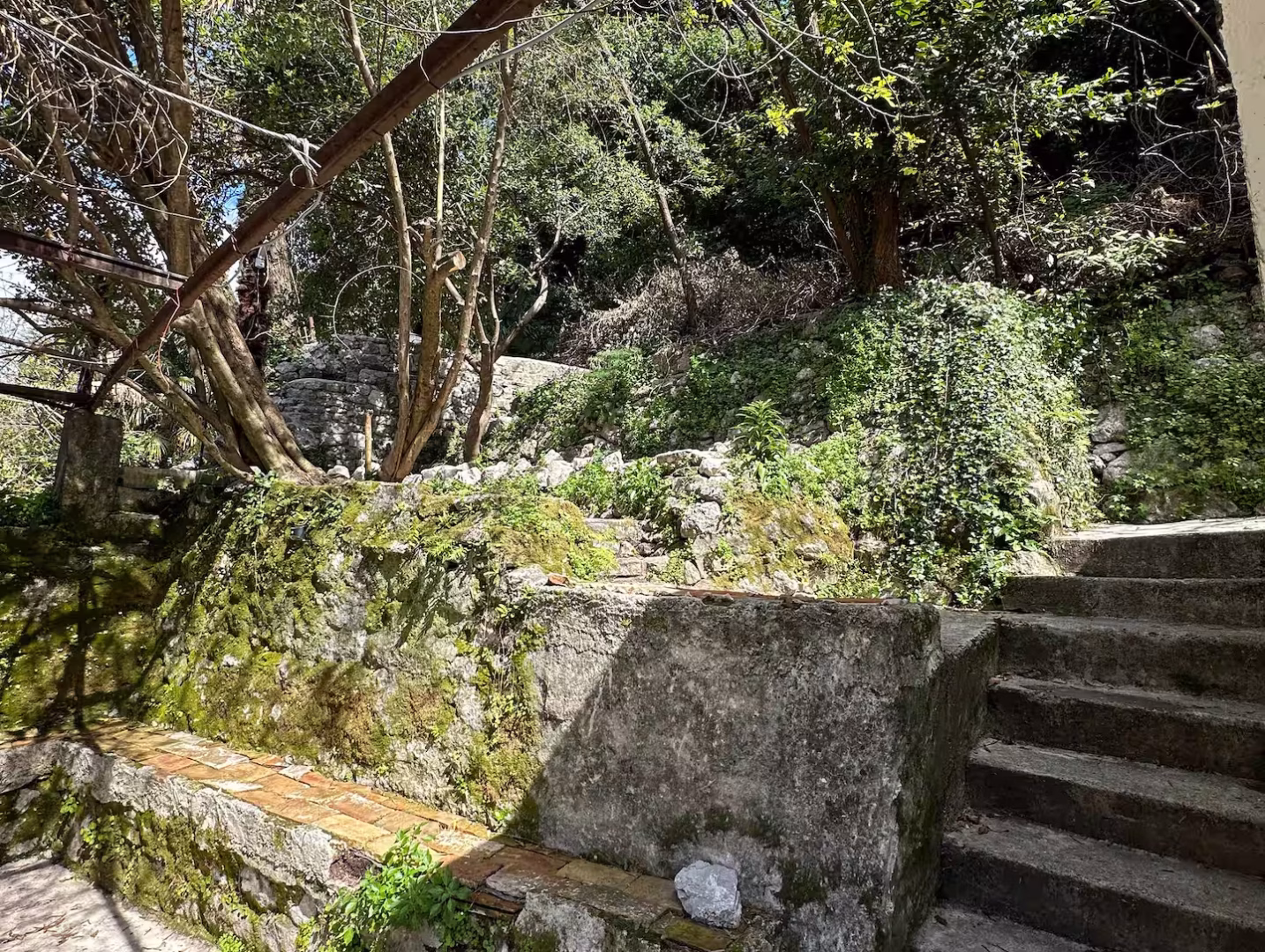 Haven accommodation in Kotor Old Town – photo 76