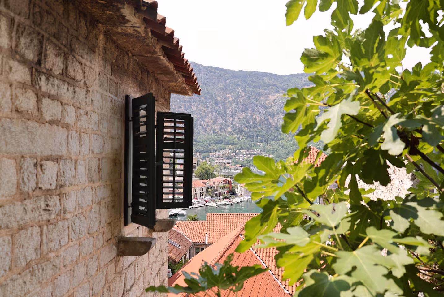 Haven accommodation in Kotor Old Town – photo 83