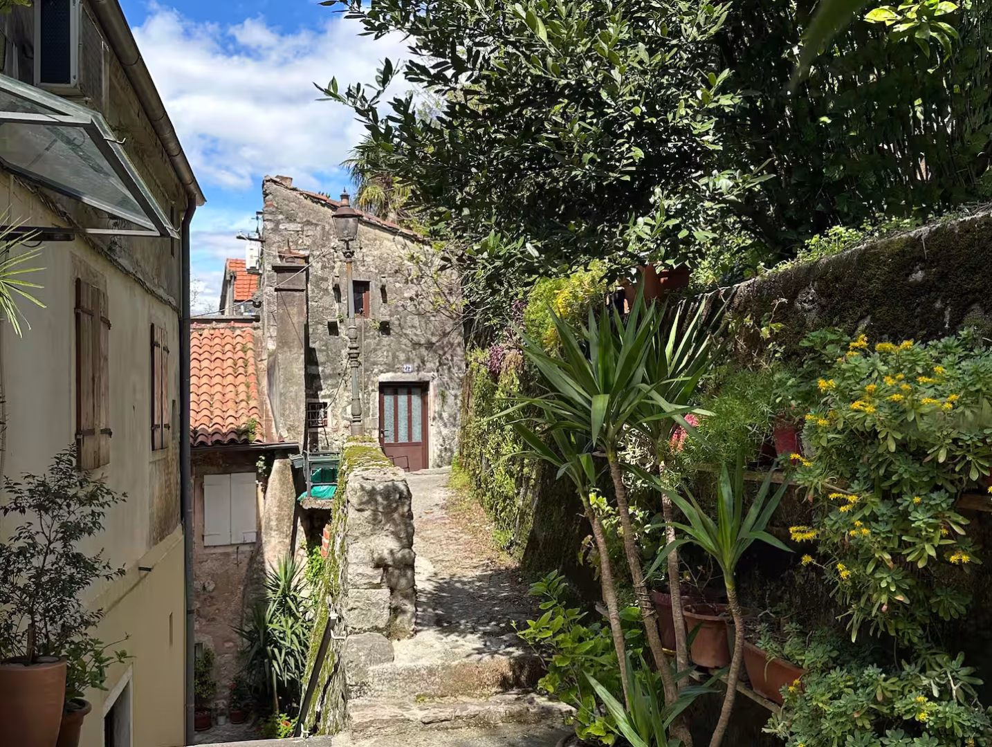 Haven accommodation in Kotor Old Town – photo 89