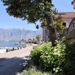 Stolivood accommodation in Stoliv, Bay of Kotor – photo 95